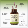 Organic Black Elderberry