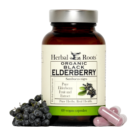 Organic Black Elderberry